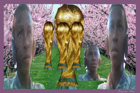 slt les amis